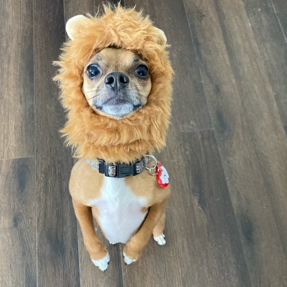 Meet the Posher Other - Meet your Posher, Fiona